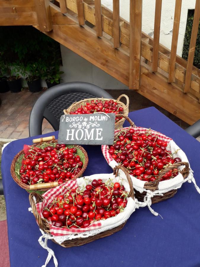 Il Borgo Dei Molini Bed & Breakfast Torreglia Екстериор снимка