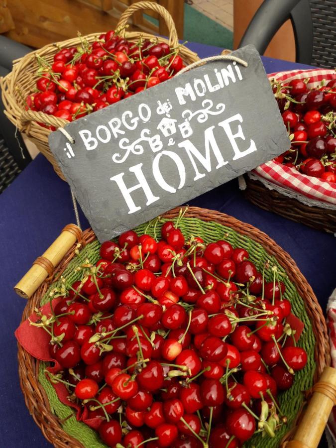 Il Borgo Dei Molini Bed & Breakfast Torreglia Екстериор снимка